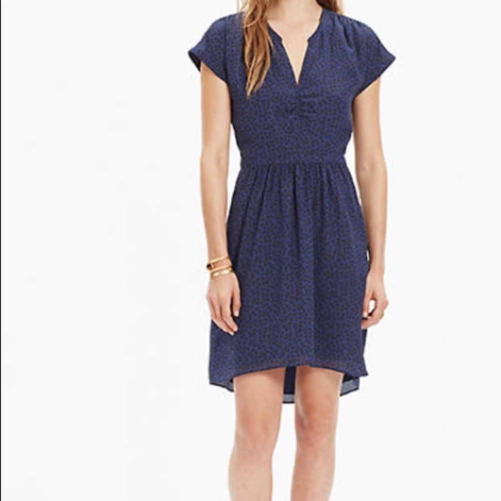 Madewell Silk Dress